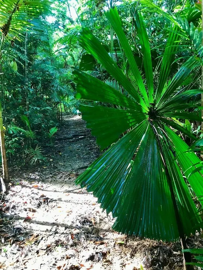 Villa Daintree Siesta Diwan