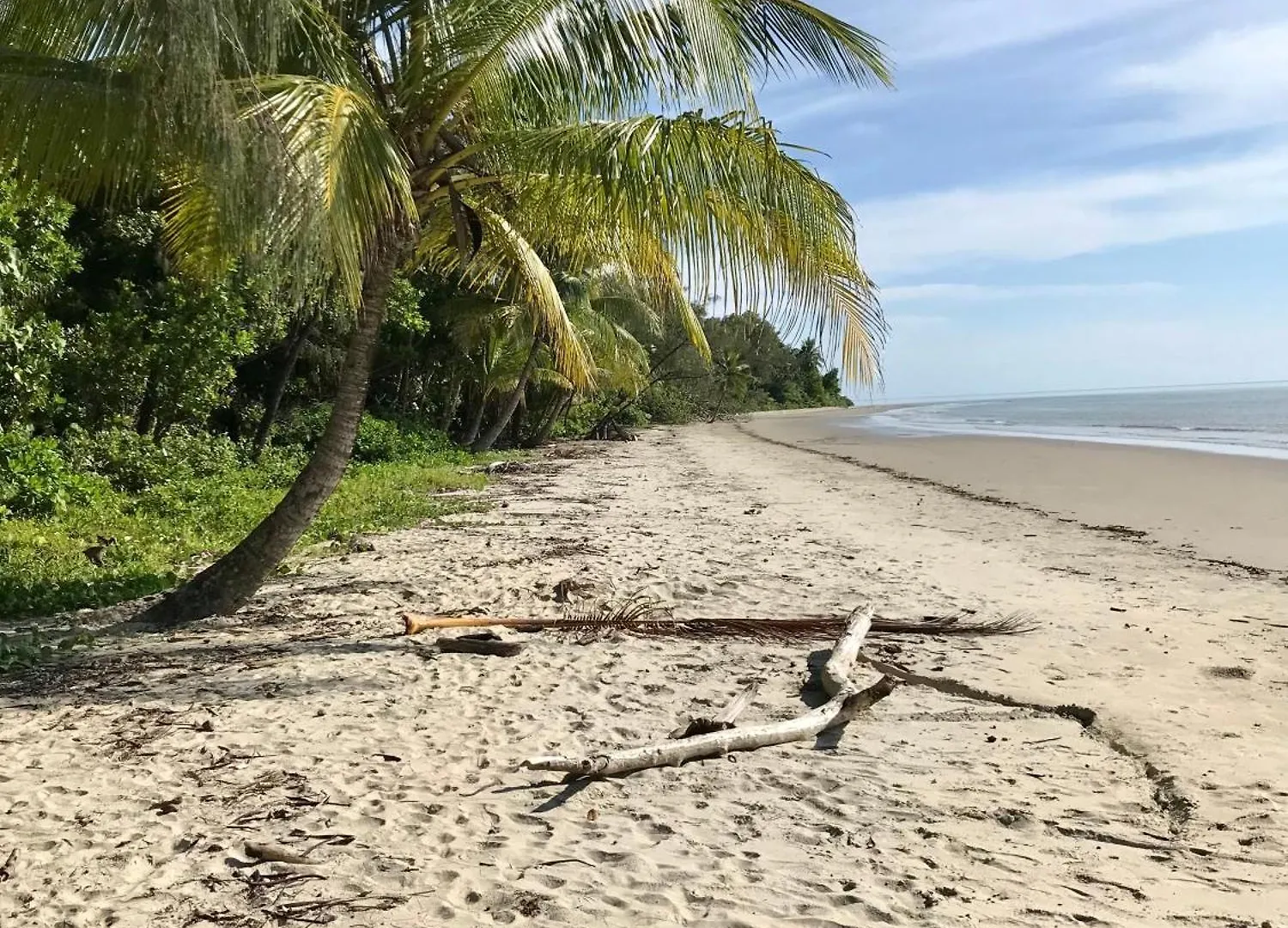 Villa Daintree Siesta Diwan Lodge