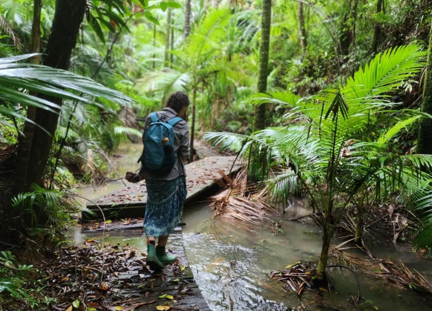Lodge Villa Daintree Siesta Diwan Australia