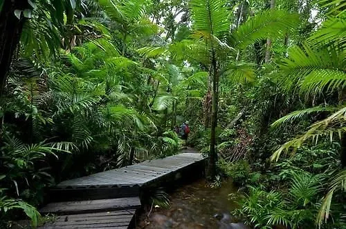 Villa Daintree Siesta Diwan Lodge
